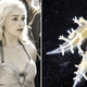 Image for article titled New species of sea slug named after Khaleesi from 'Game of Thrones'